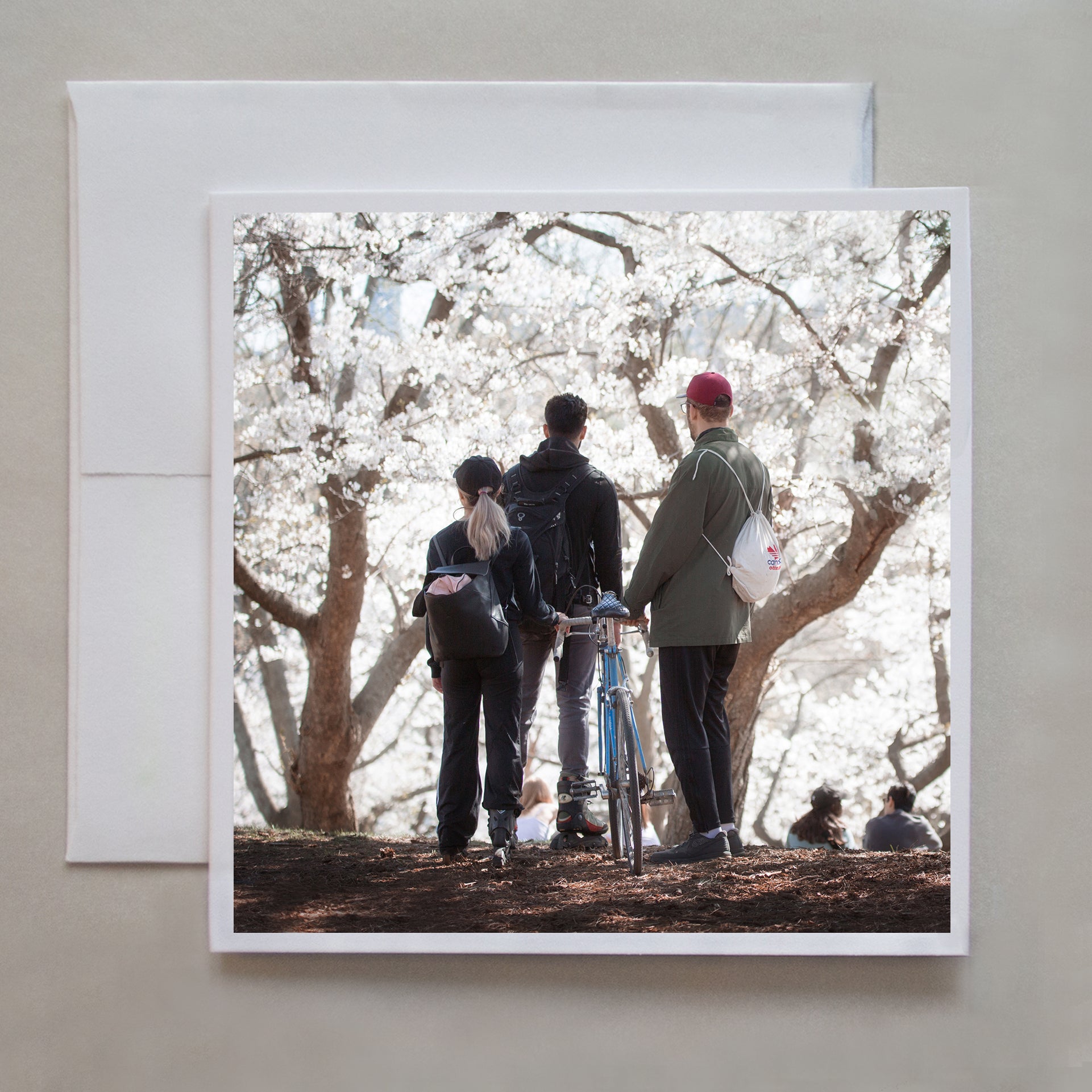 Three friends stand amongst the glorious High Park cherry blossoms in this photo greeting card by photographer Caley Taylor.  
