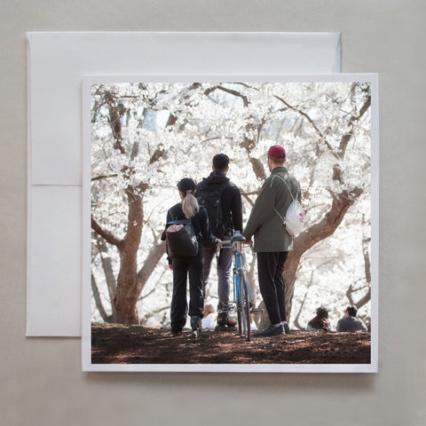 Three friends stand amongst the glorious High Park cherry blossoms in this photo greeting card by photographer Caley Taylor.  