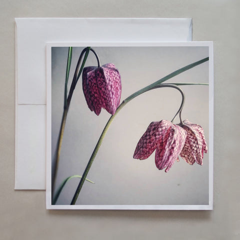 This elegant photo card is of pink & brown, checkered lilies (or also known as chocolate lilies) by photographer Jennifer Echols.  