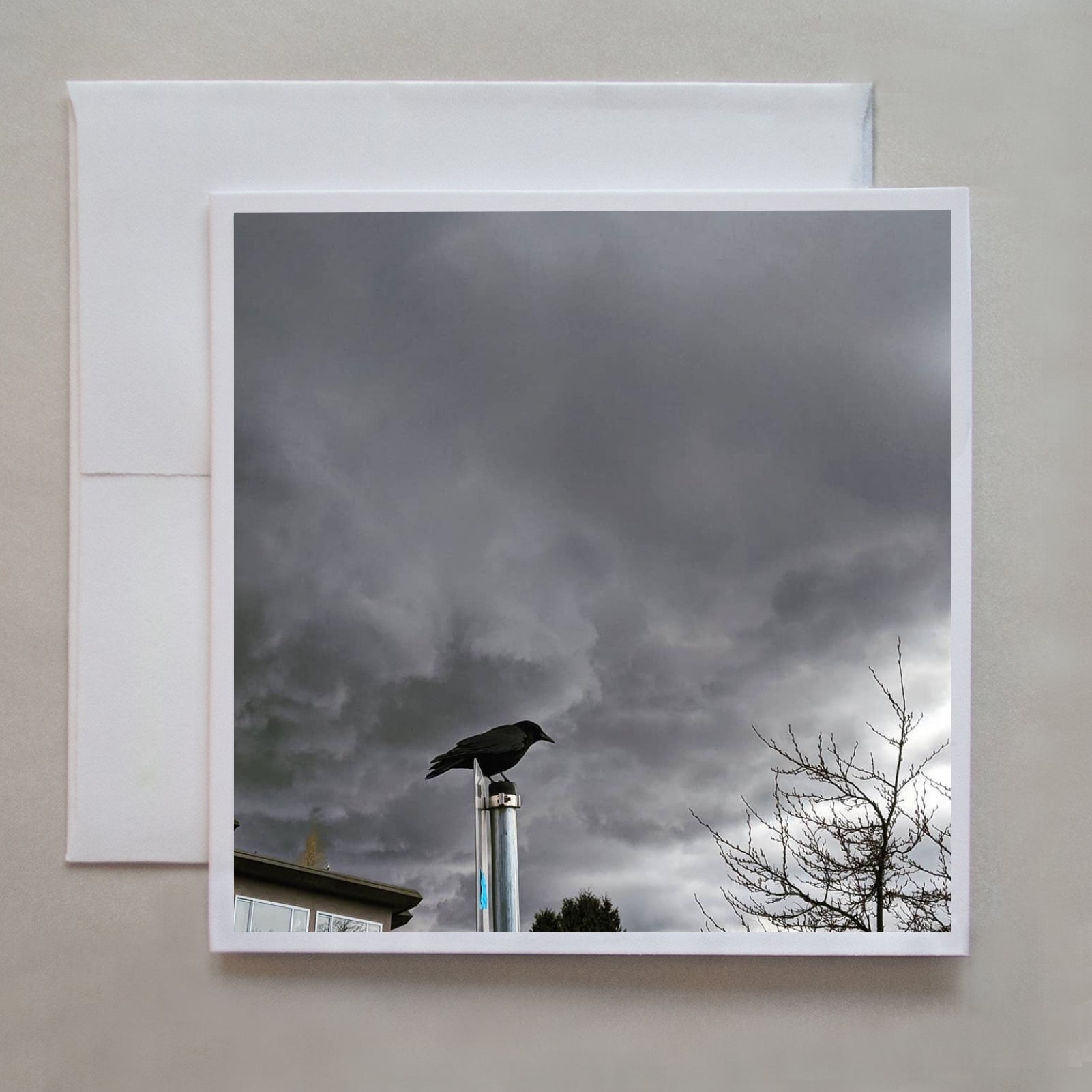 A crow sits on top of a traffic sign while  stormy clouds loom over head in this photograph by Jennifer Echols.