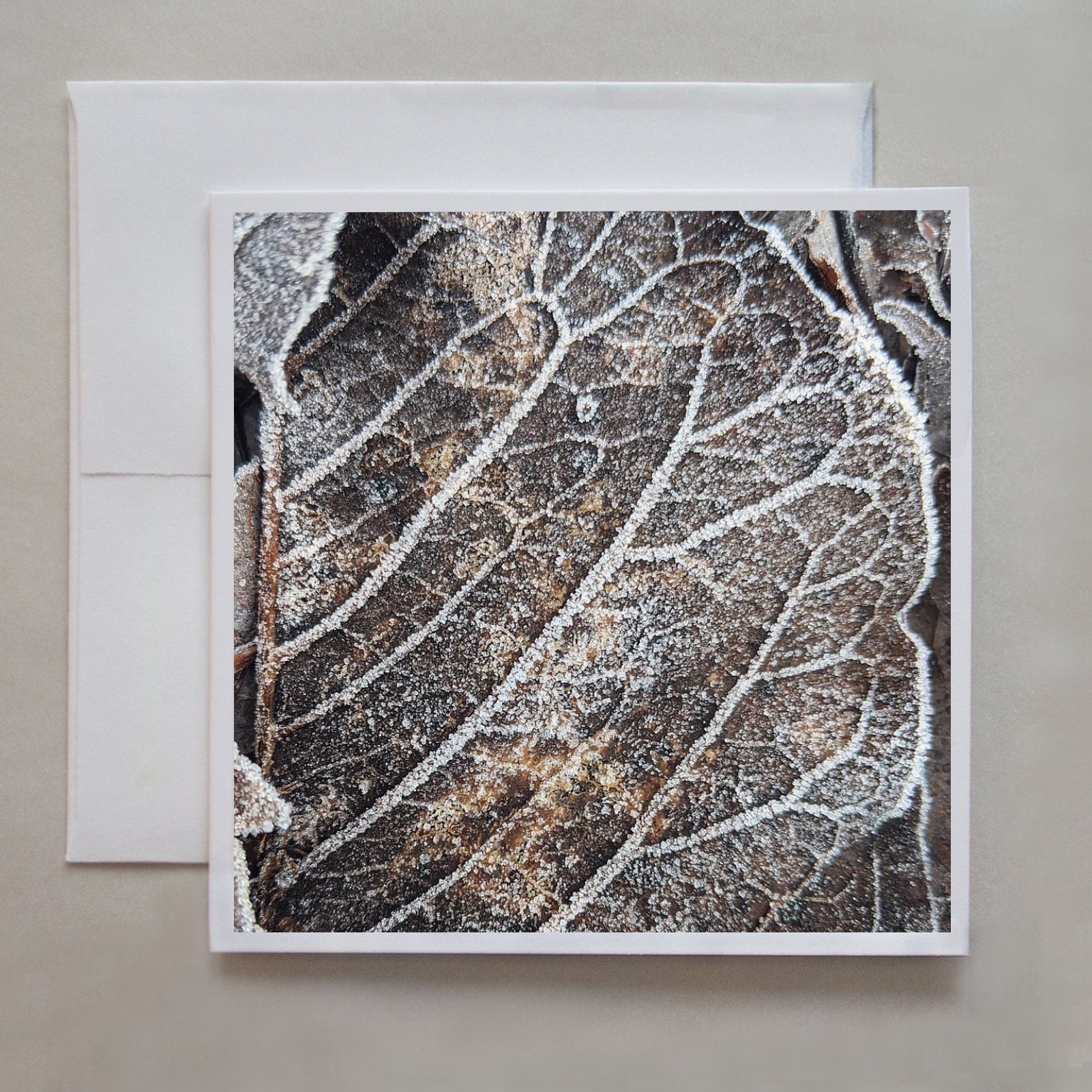 Nature creates delicate frost designs on this abstract photograph of a lifeless leaf by photographer Jennifer Echols.