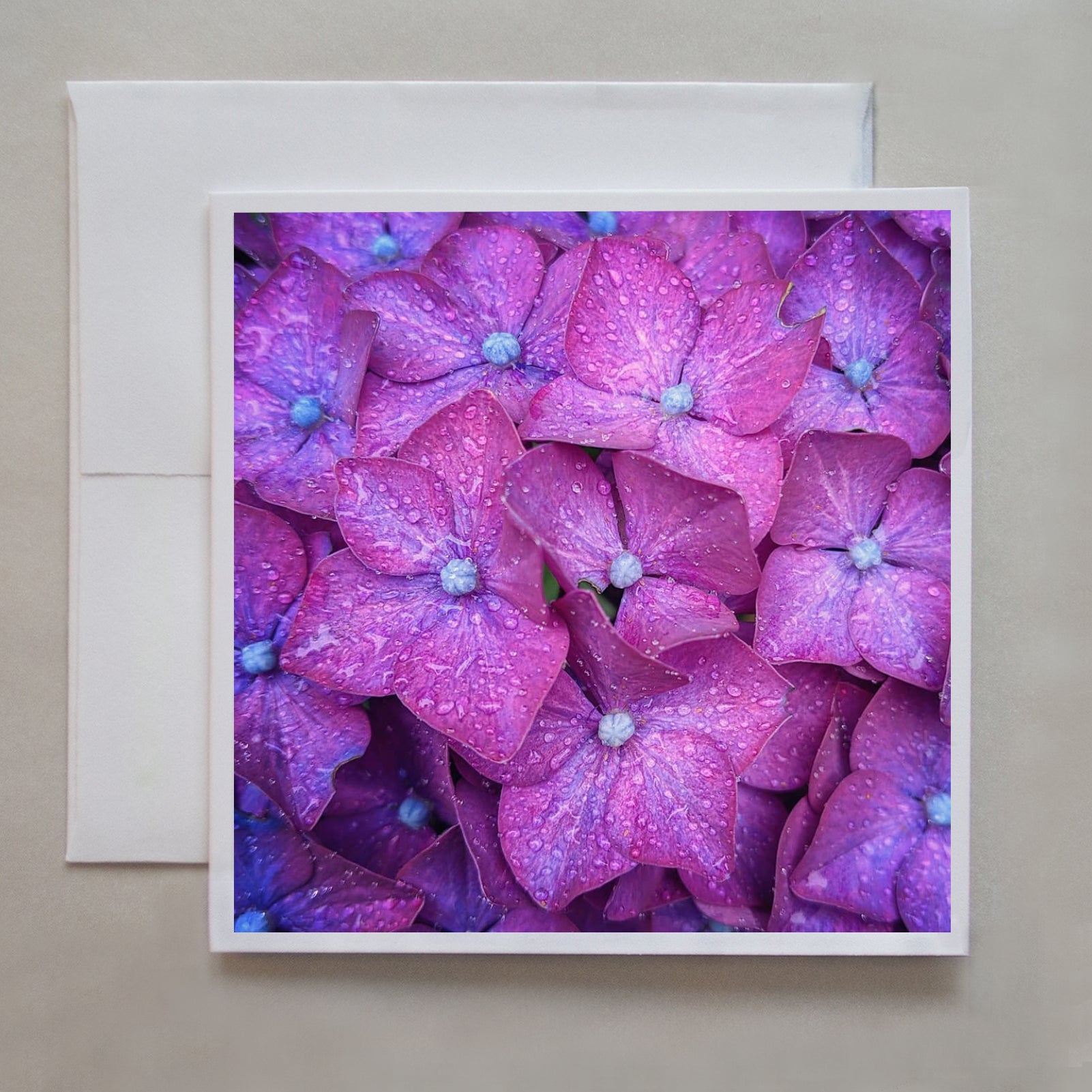 A vibrant photograph of flush, fuchsia flowers covered in water droplets by photographer Jennifer Echols.