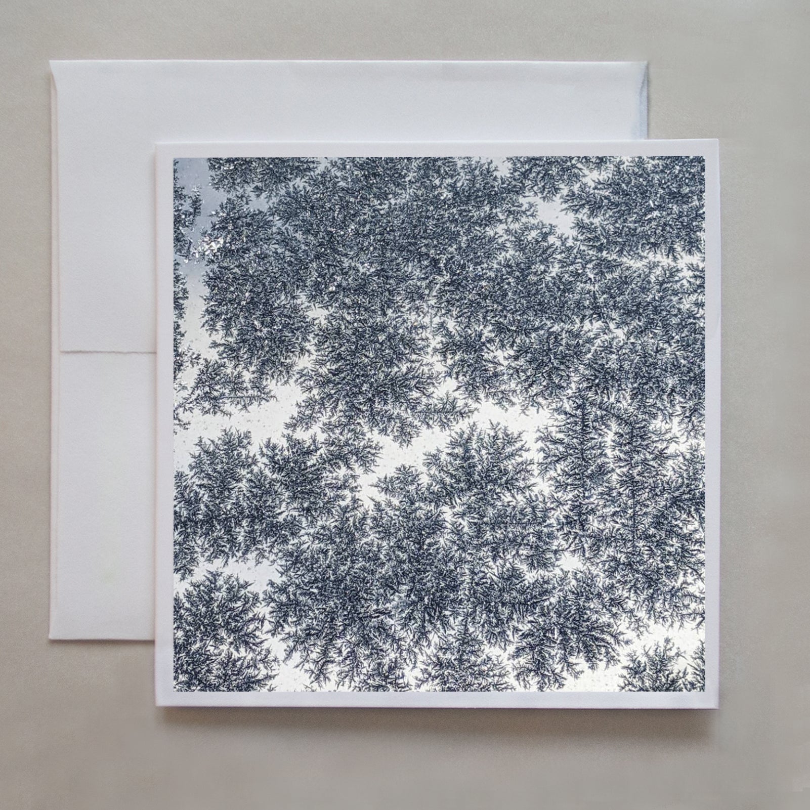 Jack Frost designed intricate crystal patterns on a window pane in this abstract greeting card by photographer Jennifer Echols.