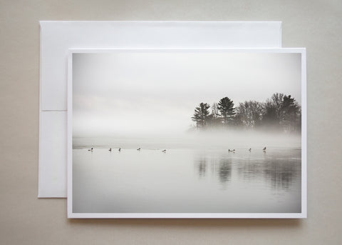 This black and white, moody photograph shows ducks standing and swimming at the edge of melting ice while a fog hides where the land and lake meet by photographer Caley Taylor.
