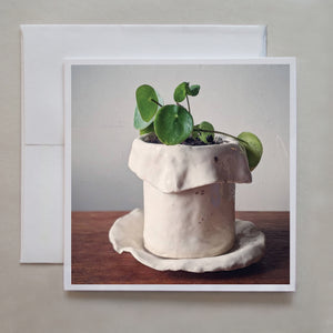 This cute baby money plant sits in a hand-made ceramic vase by photographer Jennifer Echols.