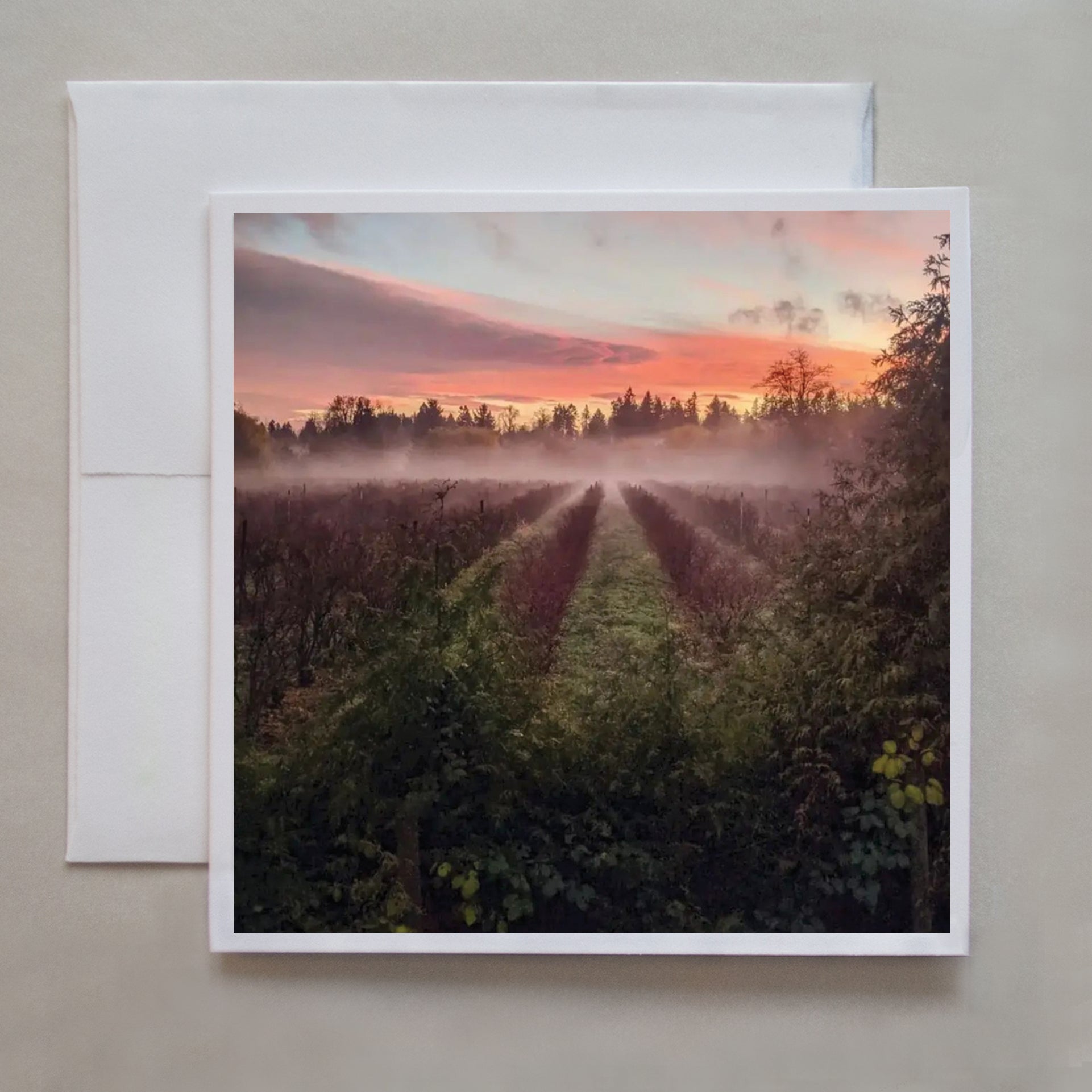 This sunrise photo card shows mist rising from Langley Field by photographed by Jennifer Echols.