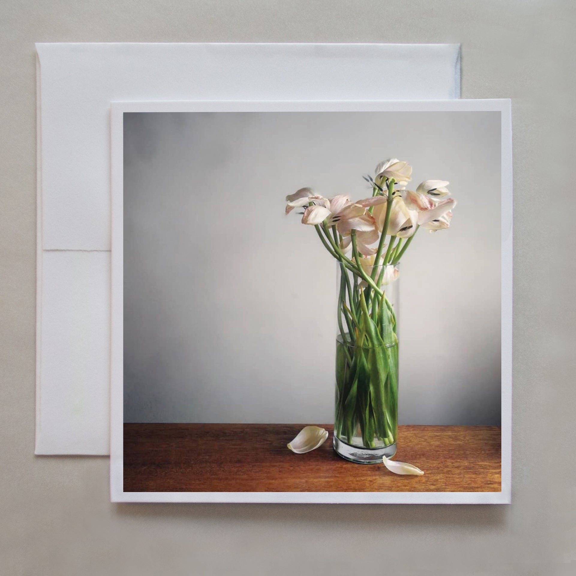 This photo card looks like a still life painting!  The tulips are dropping their petals by photographer Jennifer Echols. 