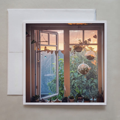 Succulent plants dangle from the ceiling in front of a window sunset by photographer Jennifer Echols.